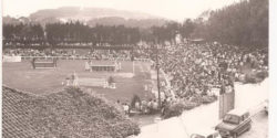 fan-zone-2014_012