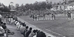 fan-zone-2014_019