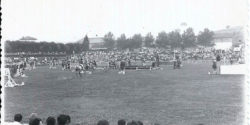 fan-zone-2014_021